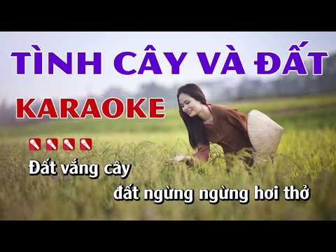 Tình Cây Và Đất Karaoke Nhạc Sống Minh Công - Beat Nam Dễ Hát Nhất