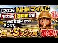 【2026 NHKマイルC】1週前診断!S評価はあの馬!競馬探偵あやの極秘プロファイル調査報告書