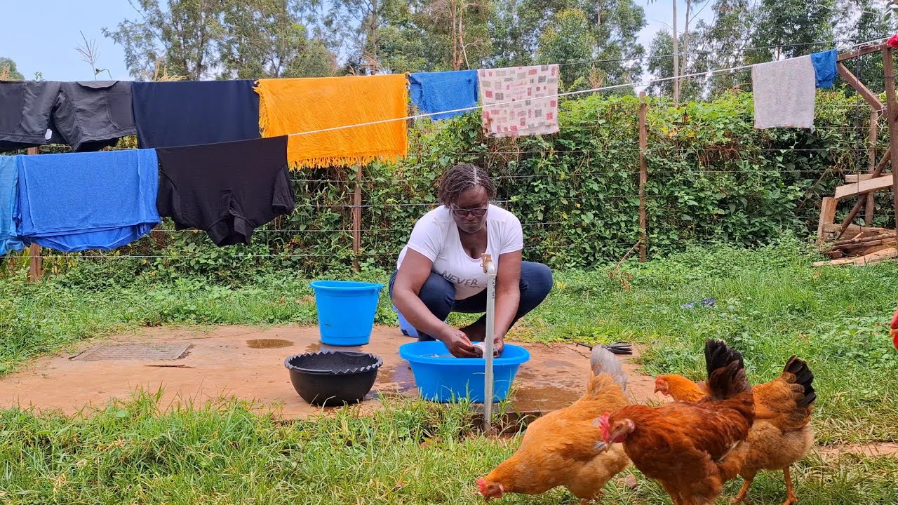 Rainy day gardening | shopping at the village market | Cooking | Life in the countryside 