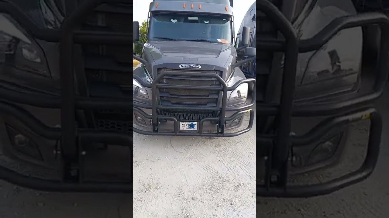 Beautiful dark Grey Freightliner big rig contrasting stripes side has Beast Mode up high.  👍