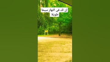 من روائع القراءة للشيخ سيد سعيد #سورة _المزمل #اكسبلور #اللهم #quran