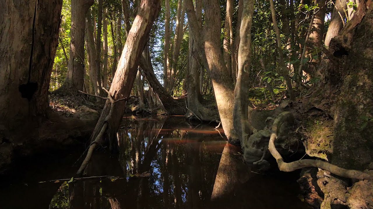 395 Middle Pocket Road - Middle Pocket