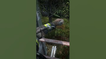 Ask First, Shoot Questions Later - DayZ