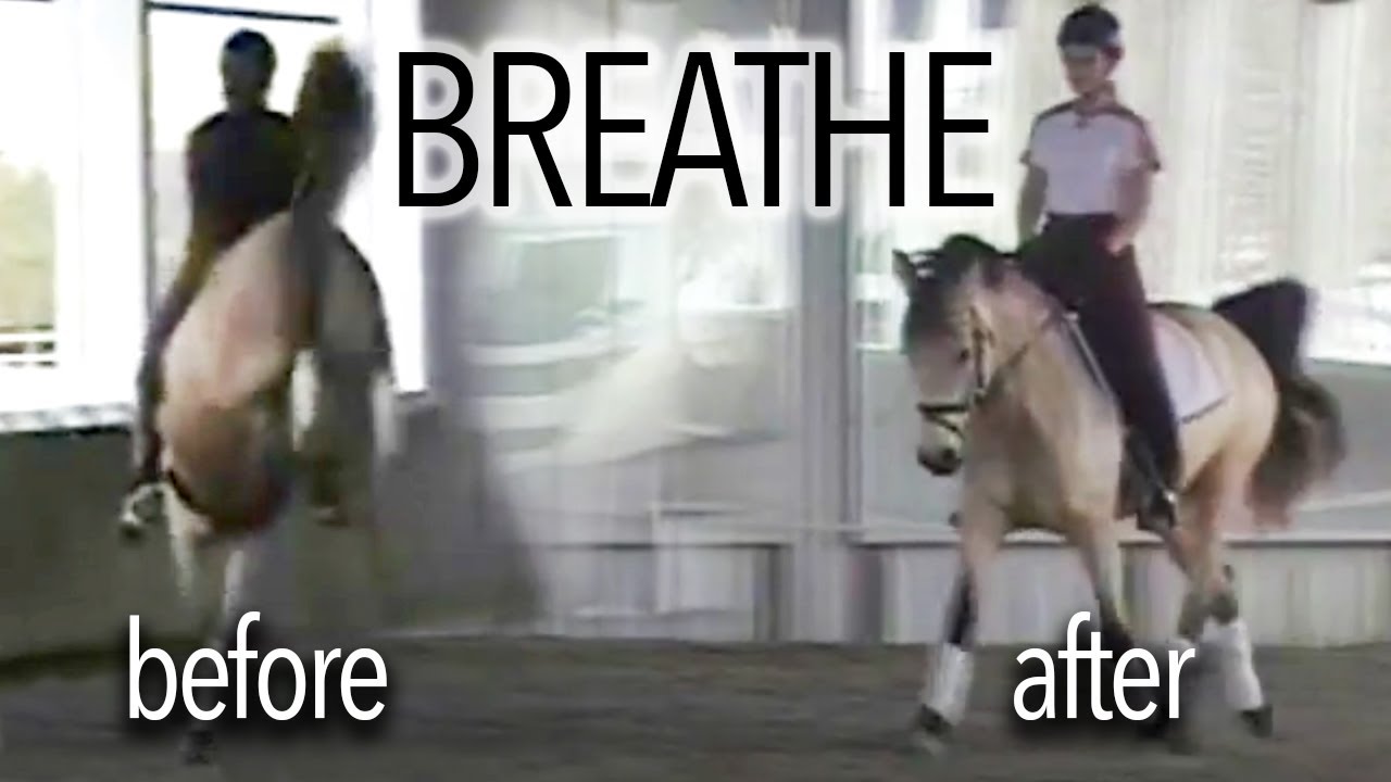 Breathe The Before and After of Horse Riding YouTube