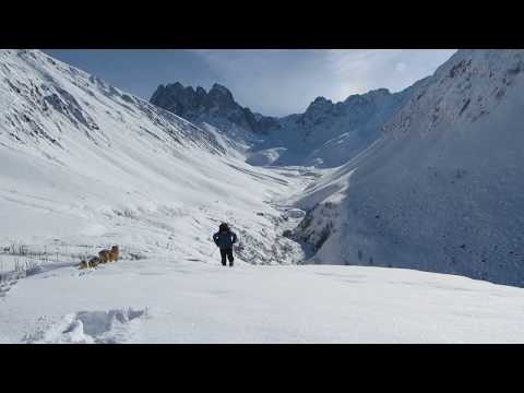 ჯუთა — სოფელი საქართველოში, ყაზბეგის მუნიციპალიტეტში,ზღვის დონიდან 2200 მეტრი,
