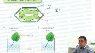 Herman Yeung - HKCEE Biology - PP 2001/II/Q32 (題型︰1d2b) (osmosis 滲透)
