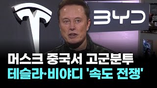 충전 5분에 400km VS 500kW…중국서 테슬라·비야디 '속도 전쟁'