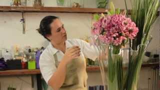 Astromélia Saiba Como Cuidar (Alstroemeria Hybrida) - Blog das Flores