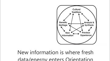 OODA loop micro course Orientation pt 1