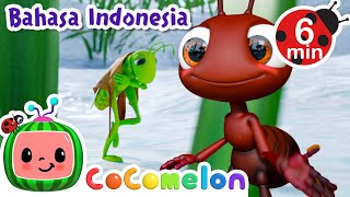 Semut dan Belalang | CoComelon Bahasa Indonesia - Lagu Anak Anak | Nursery Rhymes