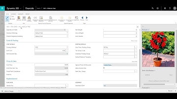 Business Central Adding Item Attributes
