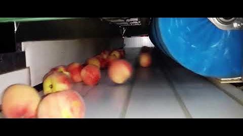 AWETA | Stonefruit sorting & grading machine