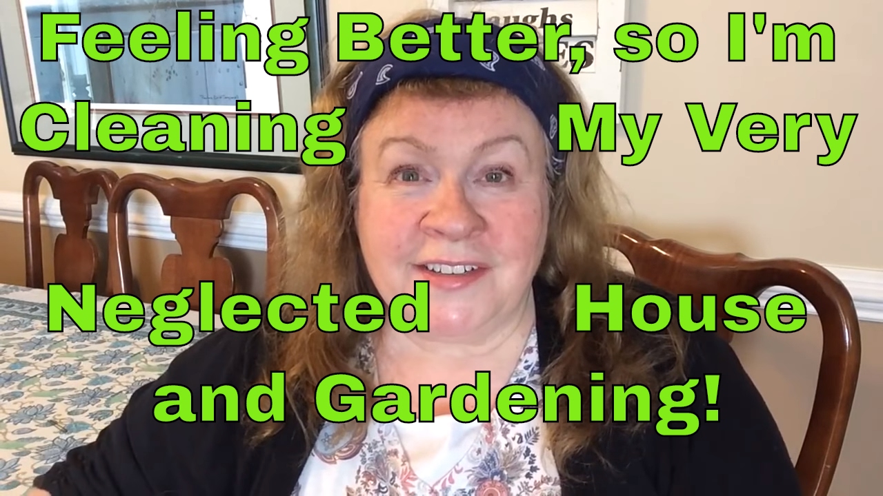 FEELING BETTER CLEANING THE NEGLECTED HOUSE PLANTING VEGGIES YouTube feeling-better-cleaning-the-neglected-house-planting-veggies-youtube