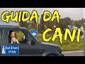 BAD DRIVERS OF ITALY dashcam compilation 06.19
