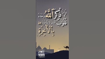 تلاوةخاشعة سورةالزمر الشيخ ماهر المعيقلي #quran #قرآن #القرآن_الكريم #القرآن #قران_كريم #آيات #fypシ