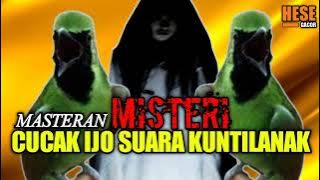 cucak ijo isian kuntilanak