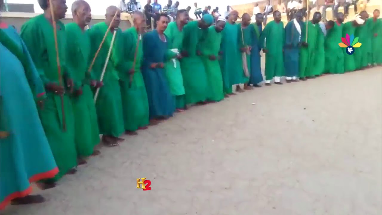 أولاد اليشخ البرعي ـ الشيخ إدريس ود الأرباب أبو فركة ريئس لأولي الألباب