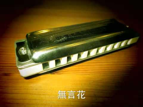 江蕙 無言花 藍調口琴 十孔口琴 SEYDEL 1847 C