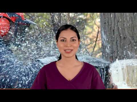 Affordable Tree & Landscape LLC – Tree Removal Service in Westminster MA