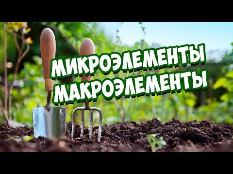 Питание Растений 🌱 Микроэлементы и Макроэлементы 🌱