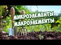 Питание Растений 🌱 Микроэлементы и Макроэлементы 🌱