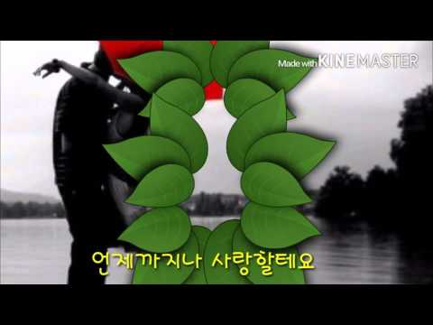 님에게 징검다리