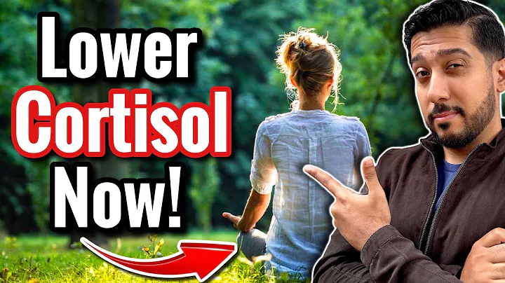 Forest Bathing LOWERS Cortisol in 3 Ways | BEST Explanation of Forest Bathing thumbnail