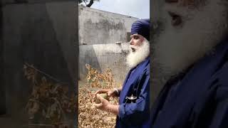 Nihang Singh Wadda Ghalughara Kup Rohira