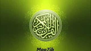 القارئ الشيعي (عامر الكاظمي) (سورة : المائده)