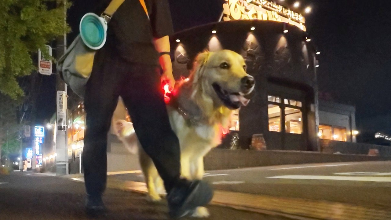 Walking Through the Neon Streets Late at Night for the First Time
