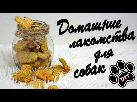Видео: Домашние угощения для собак: арахисовое масло, бананы и овсянка