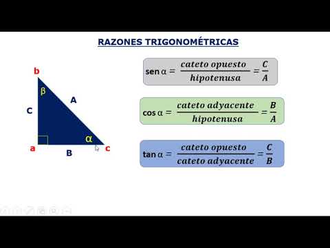 Razones trigonométricas. Concepto.