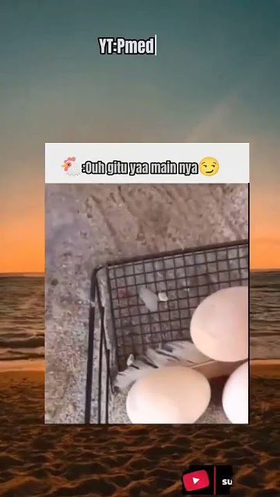 ngapain bang?#shorts#shortsfeed#short#memes#meme#youtubeshorts#funny#lucu#fyp#fypシ゚viral#trending