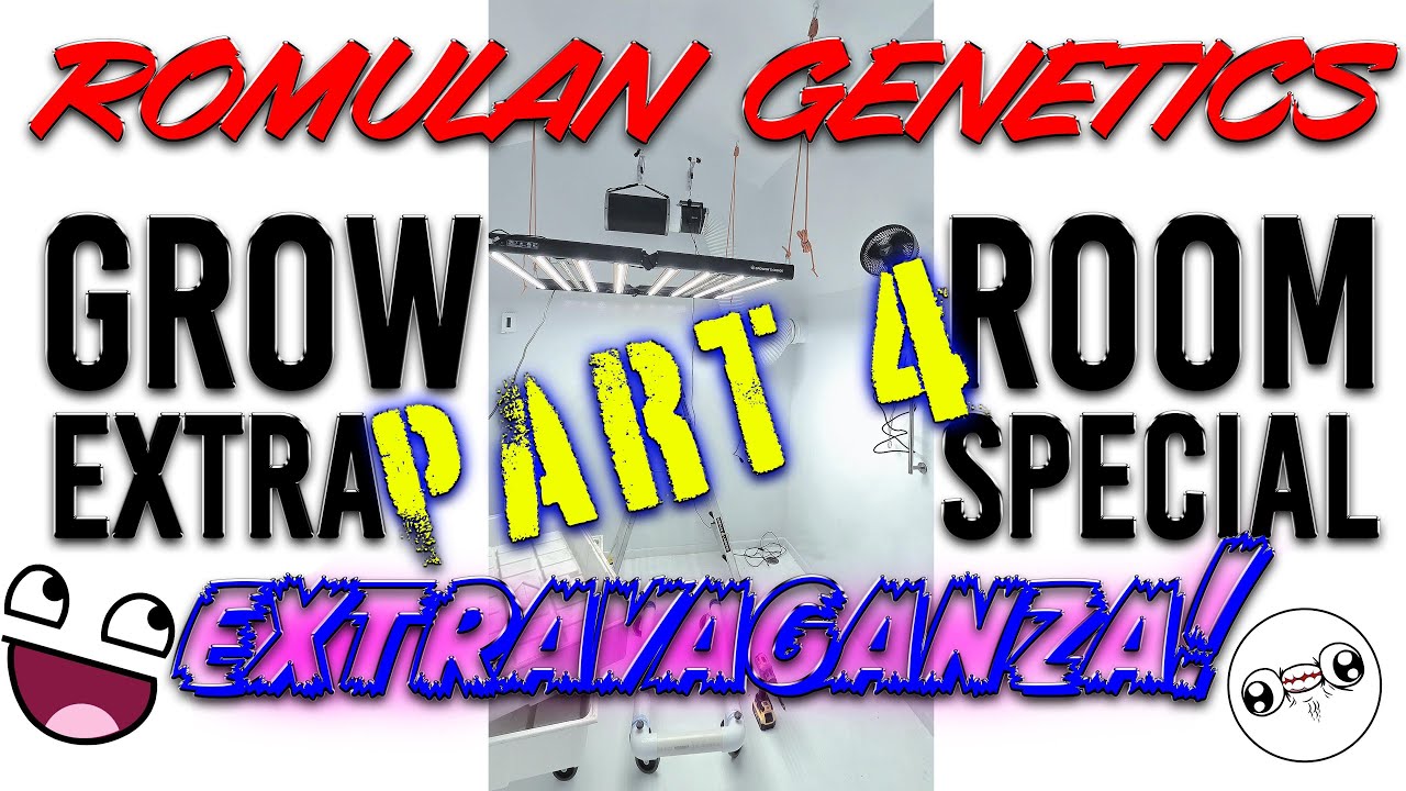 Romulan Genetics - New Grow Room Build Part 4