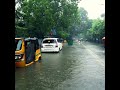 Does your city FLOOD LIKE THIS? 😲 - Chennai Flood Walk 2021 - India Monsoon Walk | 4k 50fps 🌧️