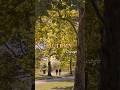 Favourite season EVER