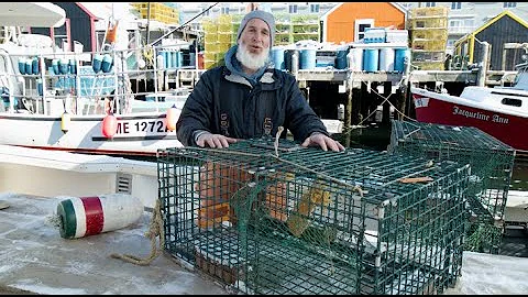 Perché il pesce surgelato puzza di ammoniaca?