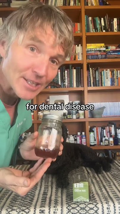 Dog or cat with bad teeth? Try this new home remedy!