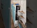 Hemp jute linen flax straw decorticating Cleaning line #jutemachine #hempmachine #machinery
