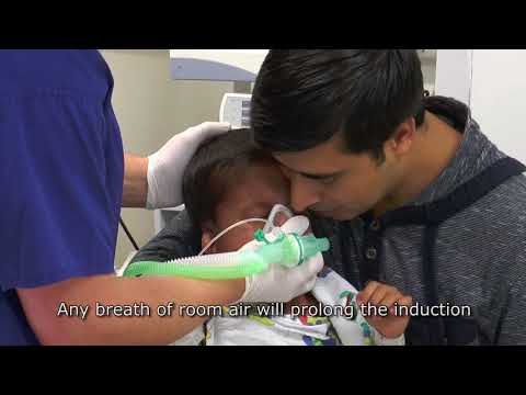 Paediatric Anaesthetics: Chapter
