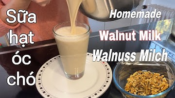 Cách Làm sữa hạt óc chó | Nấu Sữa Óc Chó | Sữa Hạt Óc Chó | cuộc sống ở Đức