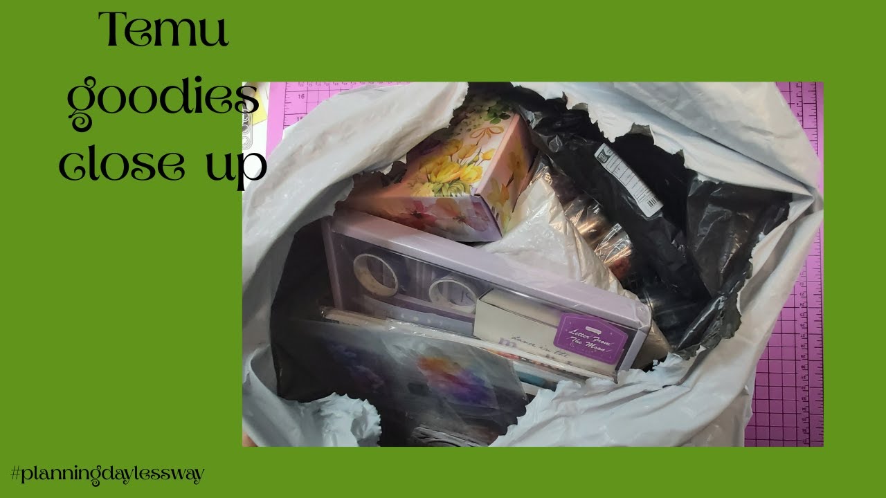 What Did I Get From Temu This Time?