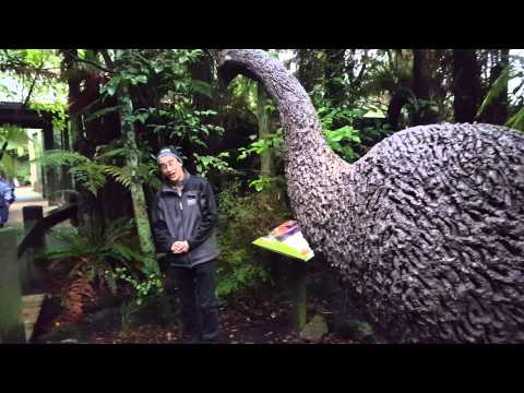 Extinct bird Moa