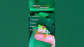 Top 6 Cute Frogs That Made Us Laugh!