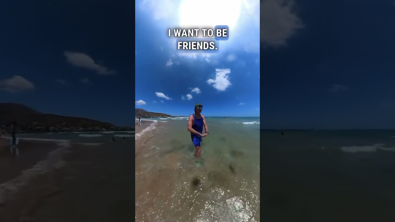 If this is your vibe, I wanna be friends ☺️