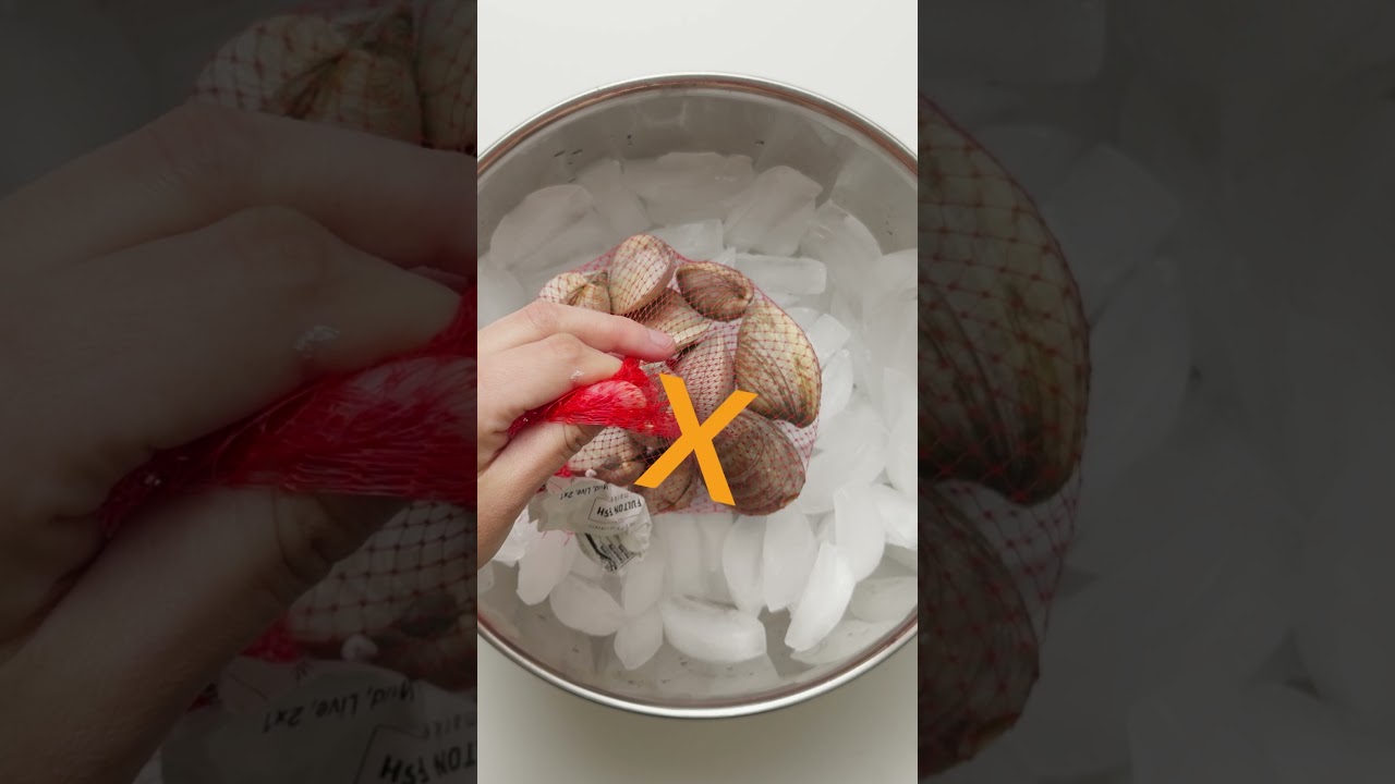 Fulton Fish Market | How to Store Live Seafood (Mussels, Oysters, and Clams)