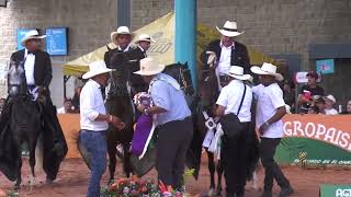 BOLA OCHO DE DOS AGUAS, PRIMER PUESTO CAMPEONATO JOVEN  TROCHA Y GALOPE  BUCARAMANGA GRADO B 2023