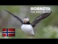 Norway - #3 Hornøya Island - A Huge Seabird Colony (eng and ukrainian subtitles)