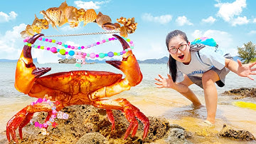 Changcady ra biển tìm được con cá con cua, nhặt vỏ sò về làm vòng cổ cho em Cam Cam