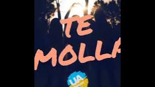 TE MOLLA REMIX 2K20 || ARNON FEAT KILLUA ||